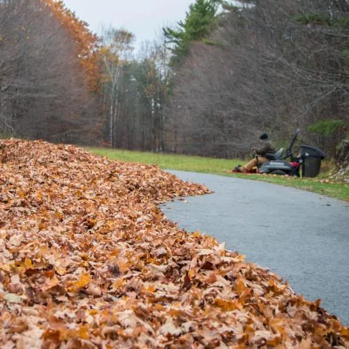 property care technician collecting leaves on a riding mower