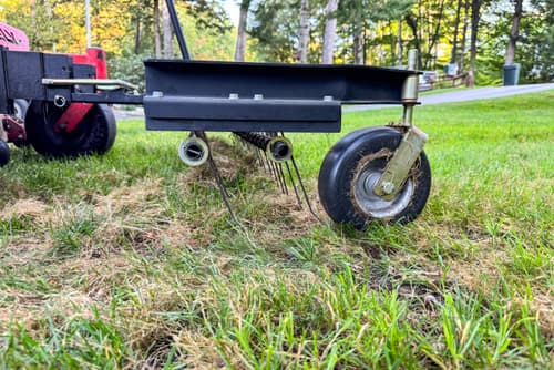 dethatching