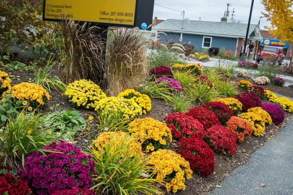 softscaping in skowhegan maine