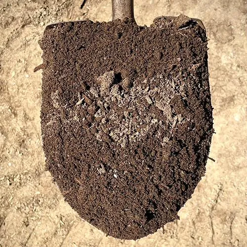 organic compost